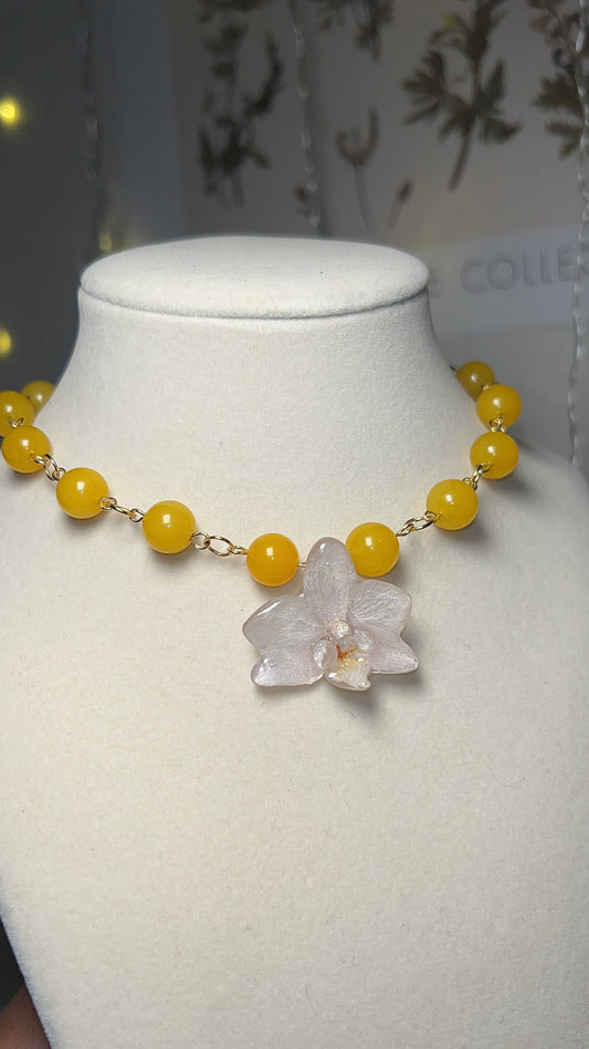 Rayito de sol ☀️