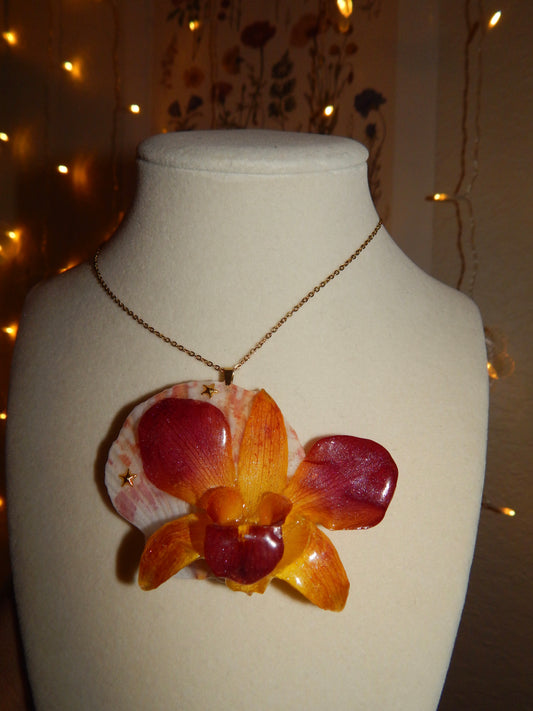 Sunset Summer ☀️